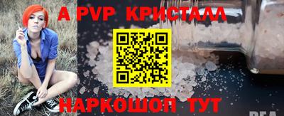 СК Кингисепп