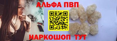 СК Кингисепп
