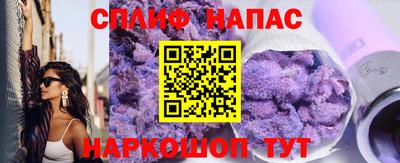 СК Кингисепп