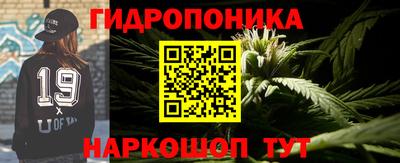 СК Кингисепп