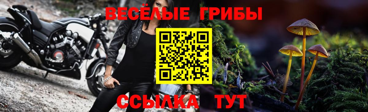 Псилоцибиновые грибы Cubensis Краснознаменск